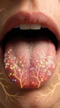 Receptors in the Human Body Explained 🧠 | How Your Body Senses Everything #receptor #senses #shorts