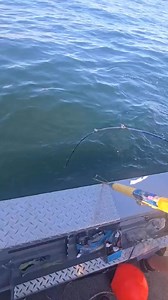 Remote, self guided fishing lodge in Ketchikan, Alaska! Contact us for details. Come create your adventure. #dallbaylodge #nobadveiws #fishing #outdoors #ocean #fishingtrip #Alaska #alaskalife #fishingadventure | Dall Bay Lodge