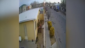 Hundreds of Birds Fall Dead From Sky in Shocking Footage Sparking Wild Conspiracy Theories