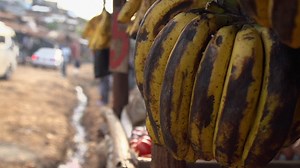 Food Evolution (2016) | ČSFD.cz