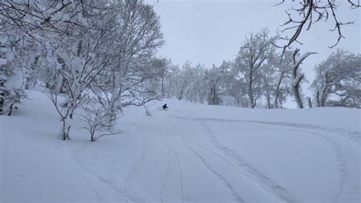 2.7K views · 205 reactions | *Powder to the People Diana ripping up the floof! ❄️❄️ : @chipironcoloraooo #22DesignsAxl #AllForTheTurn #VivaTele #spreadtelemark #telemarkskiing #telemark #skiing #winter | 22 Designs | Facebook