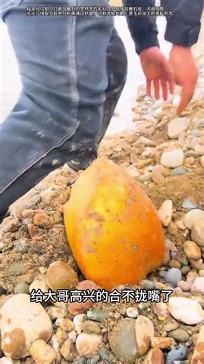 這是發現了什麼意外驚喜？ #尋寶 #撿寶 #探祕 #漲知識