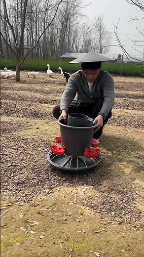 Gravity-Fed Poultry Feeder: Simple Farm Tech That Works #GravityFeeder#BackyardChickens