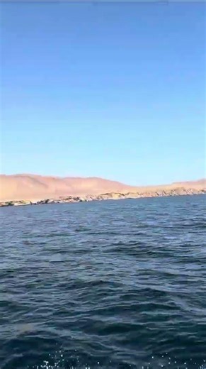Exploring, Paracas, Peru, Waman Adventures from Daniel A. 🇵🇪