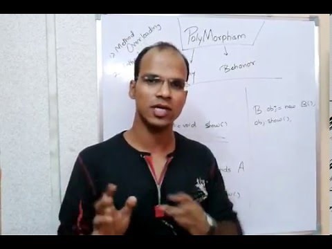 OOPs Polymorphism tutorial (Lecture) in java with example
