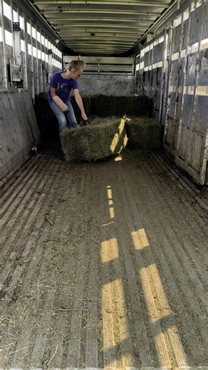 The men folk are cutting wheat so the woman folk had to haul the first load of second cutting square bales to the barn. This hay will be used during calving in the barns and horse hay. Tomorrow the rest of the bales will get loaded and go to my folks and brother’s barns. #work #women #hay #muscles | JC Farms