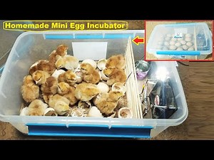 Homemade Mini Egg Incubator Hatch Chicks | How to make Egg Incubator At home SIMPLE AND EASY