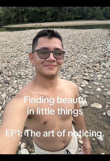 Finding Beauty in Little Things: The Art of Noticing