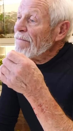 INF-FAUNE | Philippe Gillet | ☠️🐍 LE VENIN LE PLUS PUISSANT… QUI PEUT SOULAGER LA DOULEUR ?! Le mamba, l’un des serpents les plus venimeux au monde, possède un venin... | Instagram