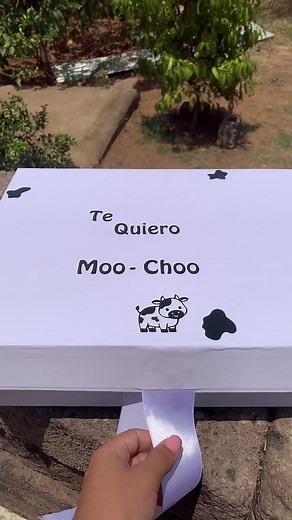 Fara Flores on TikTok