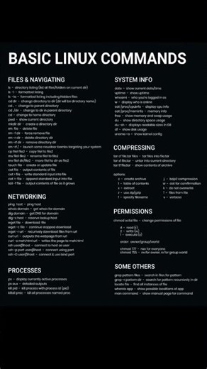 Linux Terminal Basics for Beginners.