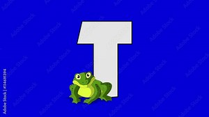 Letter T and Toad (foreground) Animated animal alphabet. Motion graphic with chroma key. Animal in a foreground of a letter. Stock Video