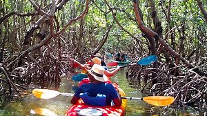 Island Kayak Tours