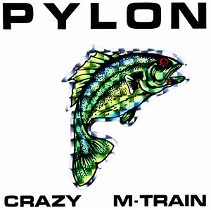 Pylon - Crazy / M-Train