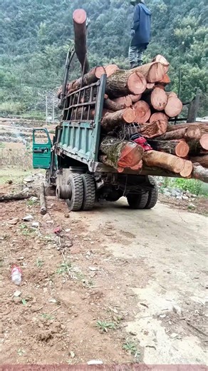 Log Loading Scene: Truck Crane Operation for Wood Transport in Mountains