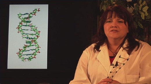 Watch What Is DNA Semi-Conservative Replication? on Amazon Live