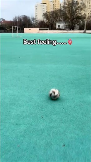 Лучшее чувство! #football #футболист #футбол #dream #soccer #subscribe #skills #sports #futsal