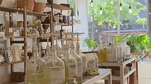 Your Sustainable, Eco-Friendly & Zero-Waste Guide to New York City