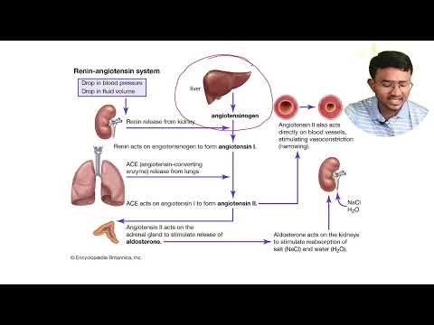 Hypertension Explained Simply | Pathophysiology, Diagnosis & Management | NEET PG | FMGE | USMLE