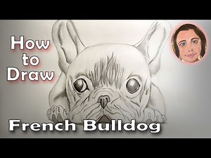 How to Draw Dogs: French Bulldog