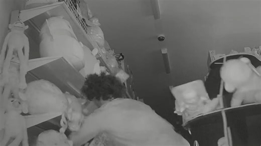 Lego-loving thief caught stealing kits worth thousands