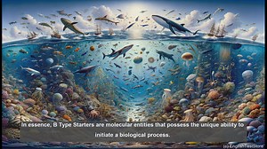 B type starter in biology