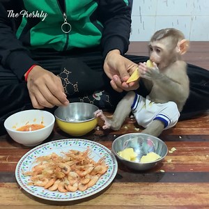 144K views · 1.6K reactions | Smart baby monkey helps mom fried shrimps for dinner | The Freshly | Facebook