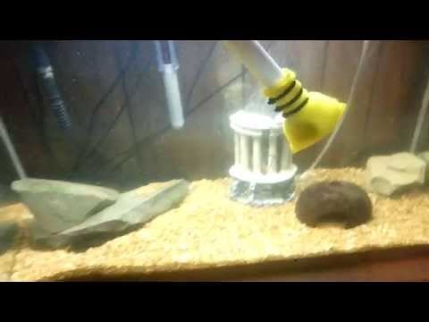Homemade aquarium glass cleaner! DIY