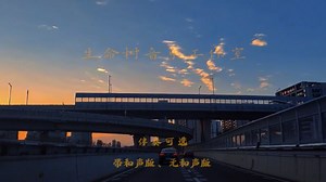 乐队的夏天3 Berlin Psycho Nurses-未来的主人翁(Live) 高清纯伴奏