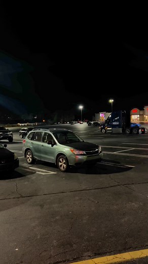 🐙 | Alexander David Stein