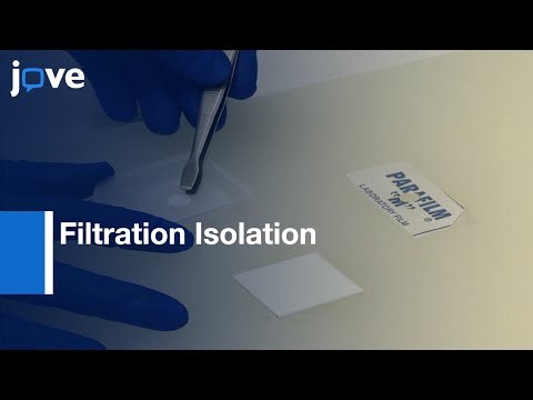 Filtration Isolation-Nucleic Acids: Simple & Rapid DNA Extraction Method l Protocol Preview