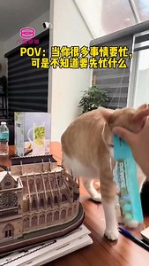 恨不得要有分身术了！🫨 #八度空间 #8TV #搞笑视频 | 8TV 八度空间