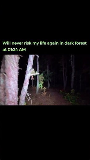 Midnight walk in a deep haunted forest after dark !