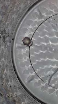 How To Get Coin Out of Washer Tub Groove