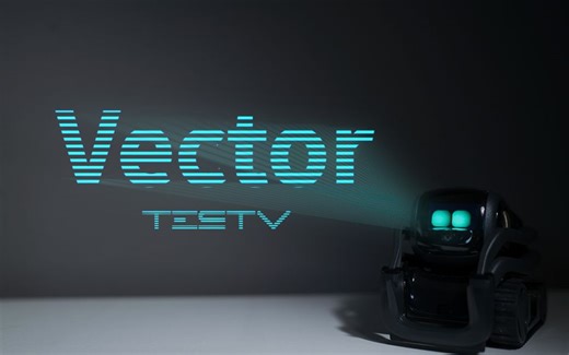 有感情的机器人_Vector【值不值得买第310期】