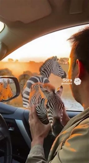 Beyond Reality: Animals Reimagined by Artificial Intelligence!