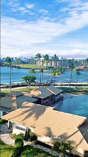 [Hilton Waikoloa Village: Dolphin Ocean View Room Tour 🐬🏝️ #hawaii #oceanfront