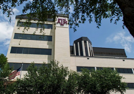 texas-am-college-of-dentistry