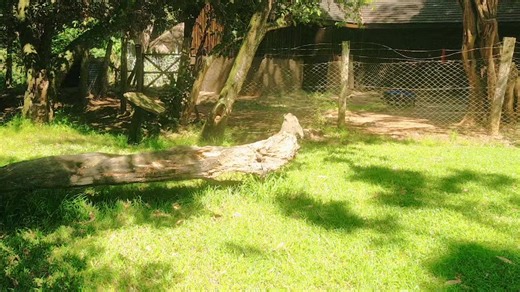 Cybrary nature exploration