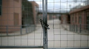 Der Euro am Abgrund - DOK - Play SRF