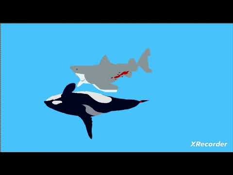 JAWS vs Orca 1977