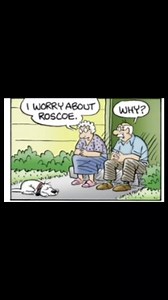 617 reactions · 122 shares | Oh no! #funnycomics #funnycomicstrips #comicstrips #comics #funny #dailylaughs #funnycouples Pickles Comic (Fan Page) | Charry Magno Francisco | Facebook