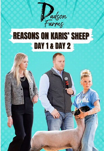 What the sheep judges said about Karis’ sheep day 1 and day 2 of The Revival livestock show! #showsheep #sheep #livestockjudging