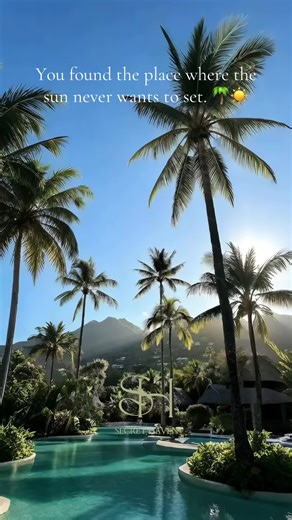 Some mornings feel like a movie, but this one didn’t need a script. Between the jungle heat and the cool lagoon, the world just feels... right. If you’re looking for paradise, I think I left the map here. 🥥✨ #TropicalVibes #LuxuryTravel #MiamiVibes #HiddenParadise #IslandLife