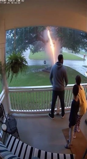 Lightning Strikes Tree, Tree Explodes #shortvideo #shorts #funny