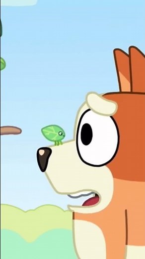 Bingo discovers a walking leaf 🍃#bluey #disneyjunior #disneyjr