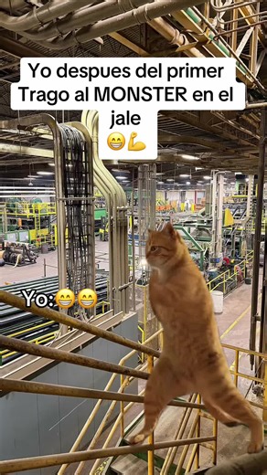 After My First Sip of MONSTER at Work