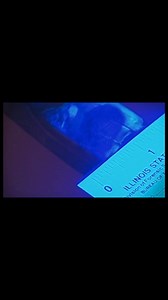 3.7K views · 24 reactions | A Clear Print- The Forensic Breakthrough. #forensics #forensicinvestigation #peterthomas #CrimeInvestigation #ForensicScience #truecrime | Forensic Files Episodes | Facebook