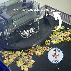 HOB Filter Floater Protection: Water Level Adjuster, Fish & Shrimp Guardfree SHIPPING! - Etsy