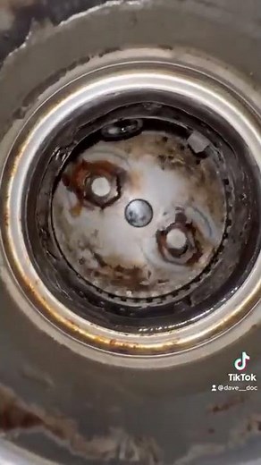 How to clean out your Garbage Disposal! #Diy #plumbing #garbagedisposal